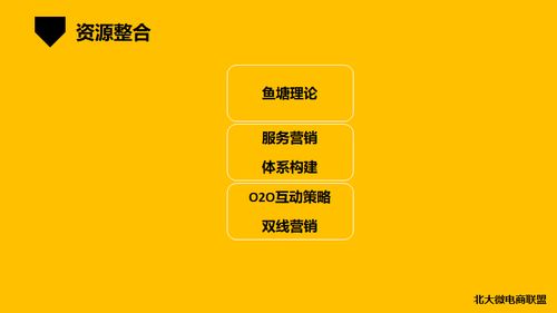 北大微電商聯(lián)盟 移動(dòng)互聯(lián)時(shí)代的企業(yè)IP與品牌營(yíng)銷新范式